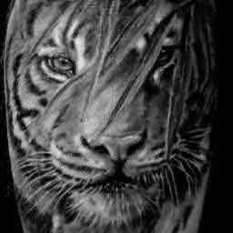 Татуировка тигра цветная