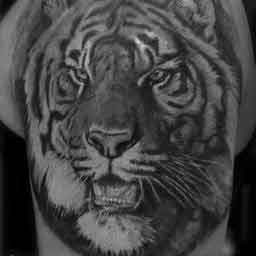 Тигр татуировка цветная